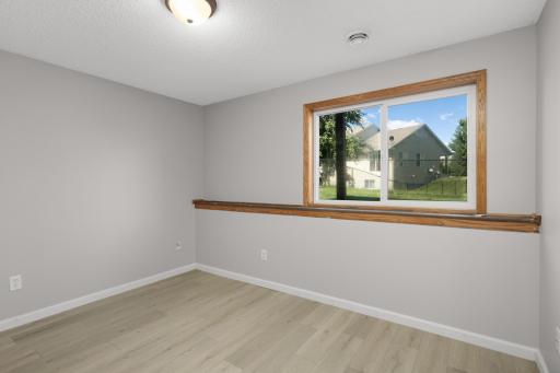 Lower level 4th bedroom