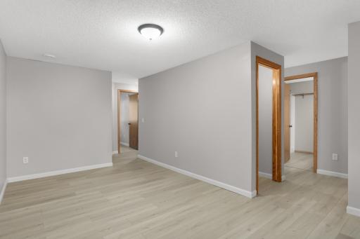 Lower level family room