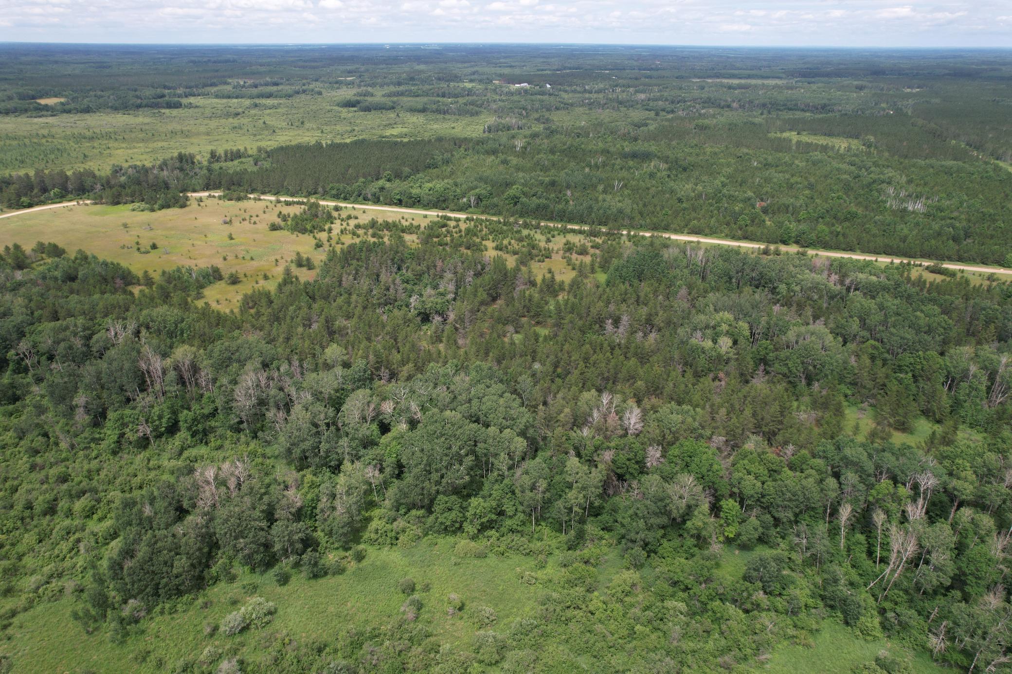 dji_fly_20260708_132954_935_1783536034186_photo.jpg