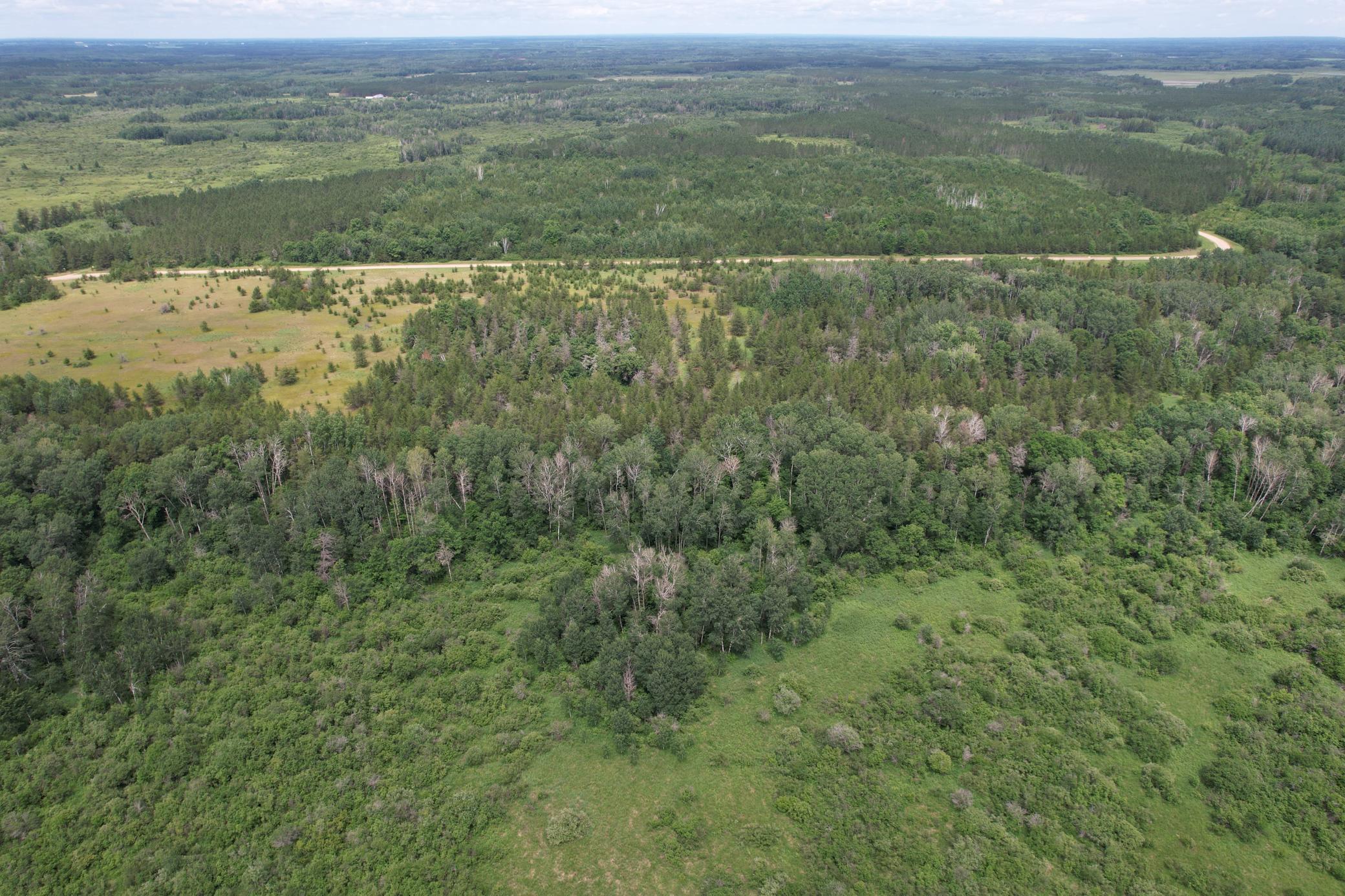 dji_fly_20260708_132928_934_1783536036120_photo.jpg