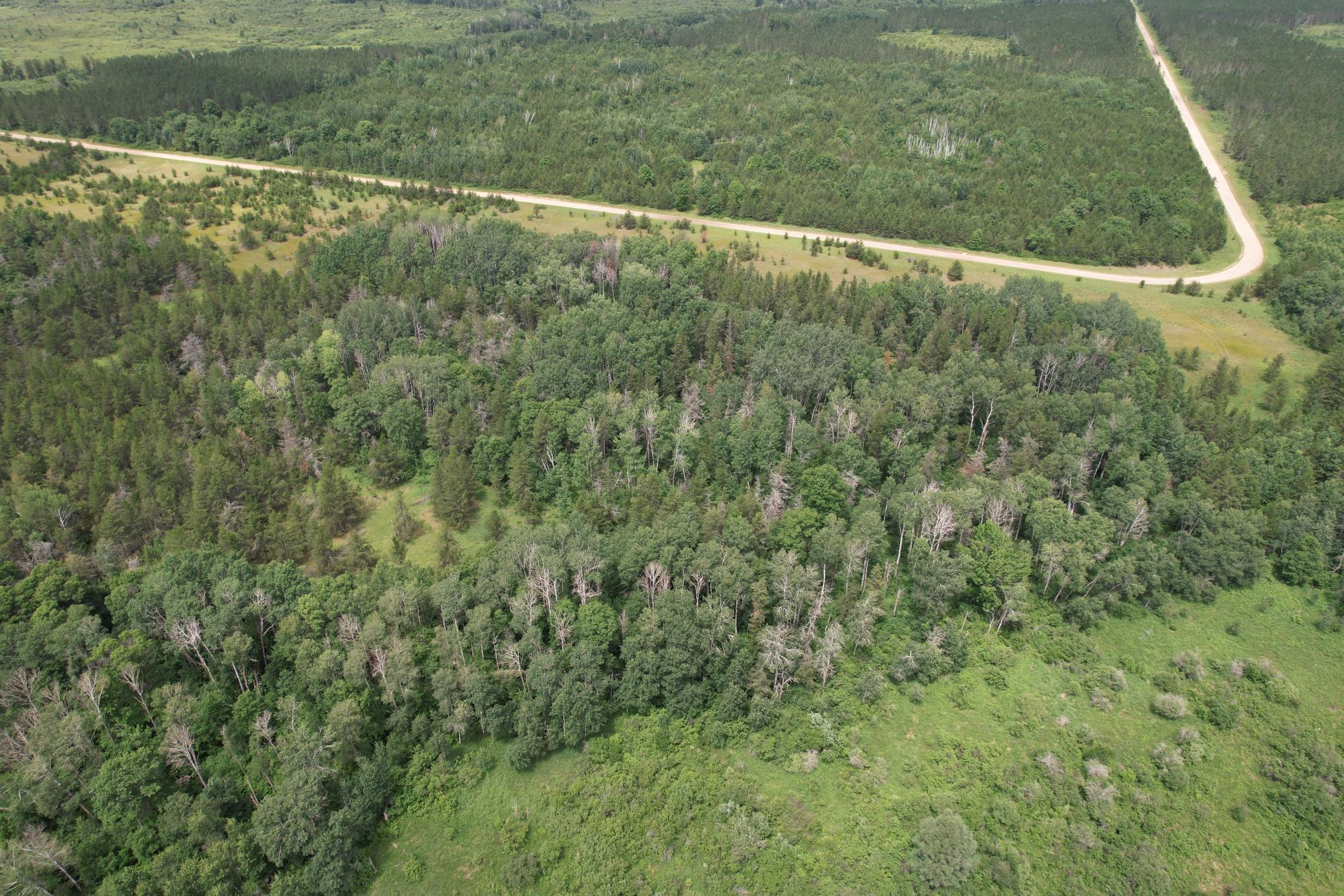 dji_fly_20260708_133032_937_1783536030592_photo.jpg