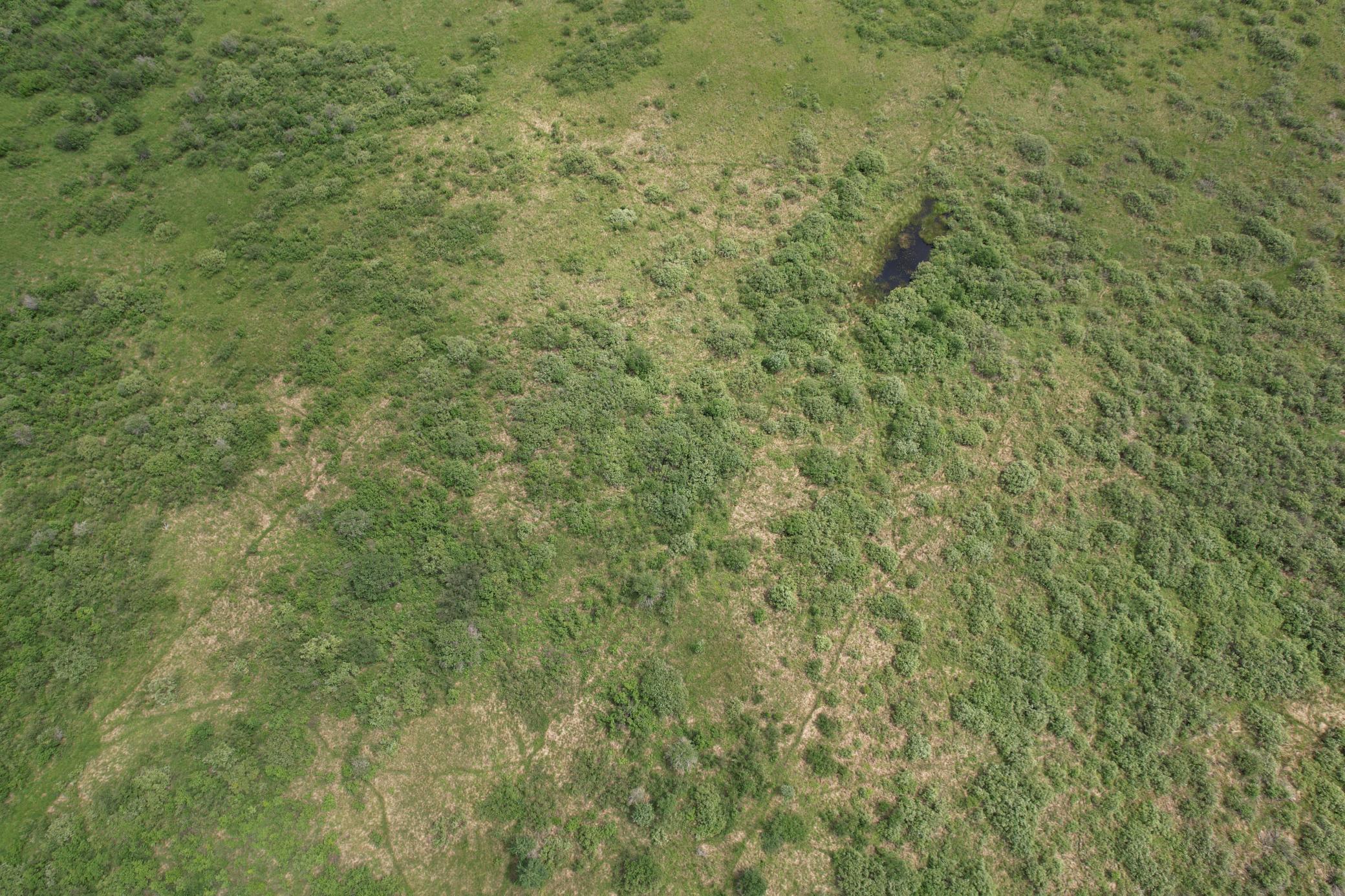 dji_fly_20260708_132854_932_1783536040280_photo.jpg