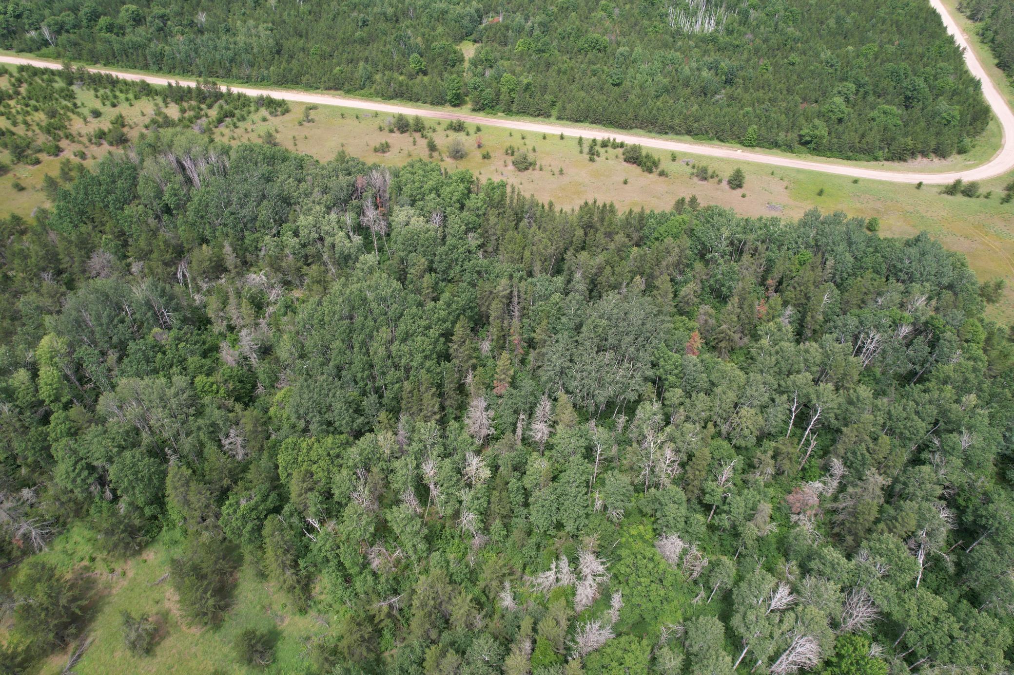 dji_fly_20260708_133040_938_1783536028543_photo.jpg