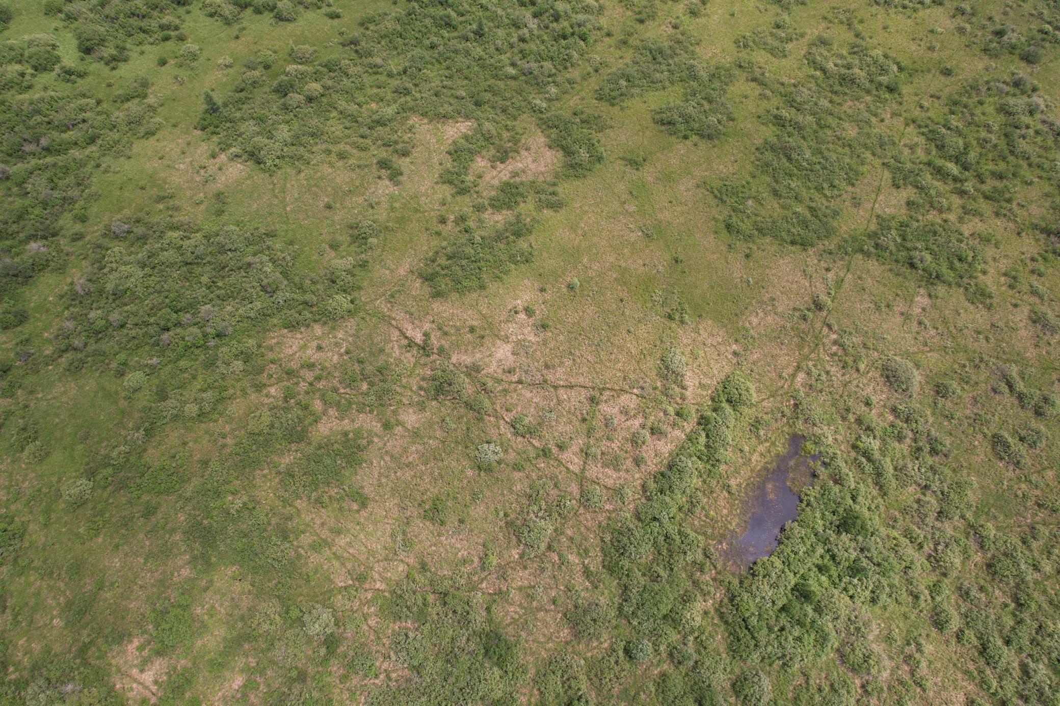 dji_fly_20260708_132904_933_1783536038159_photo.jpg