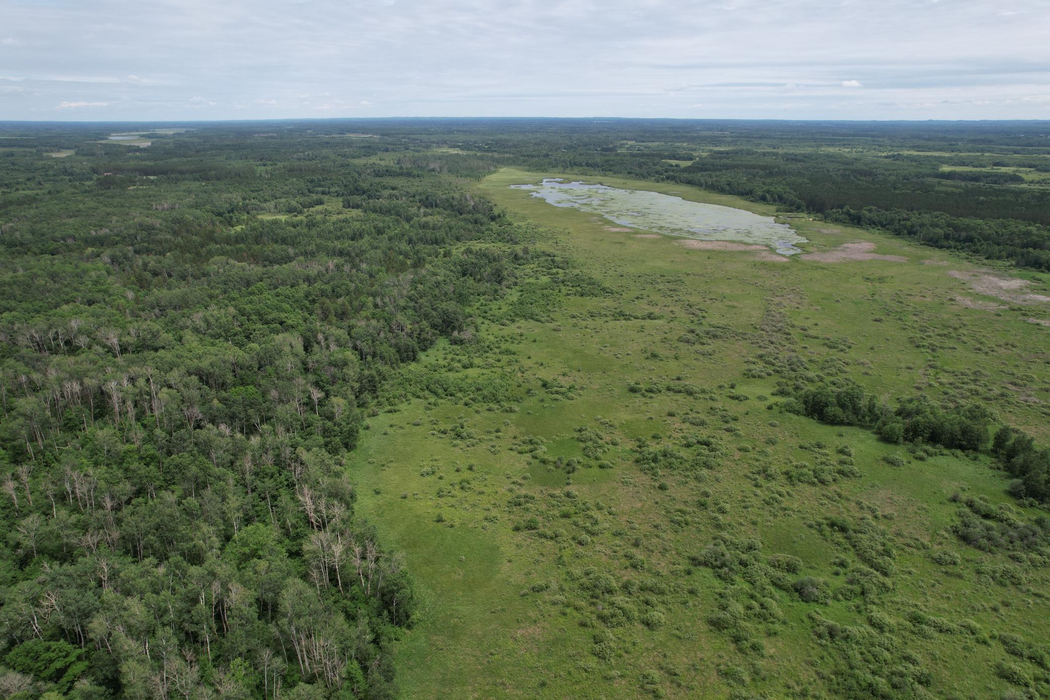 dji_fly_20260708_133306_943_1783536019485_photo.jpg