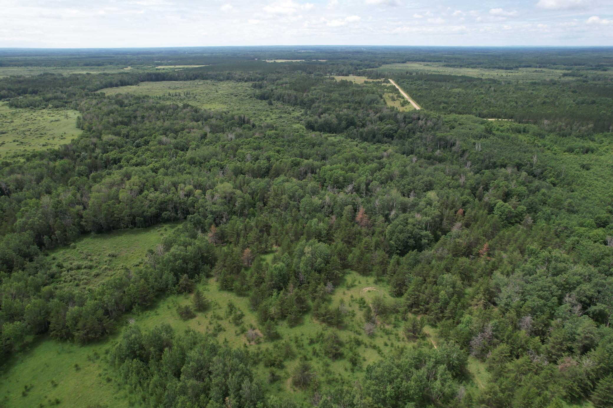 dji_fly_20260708_133624_956_1783535993290_photo.jpg