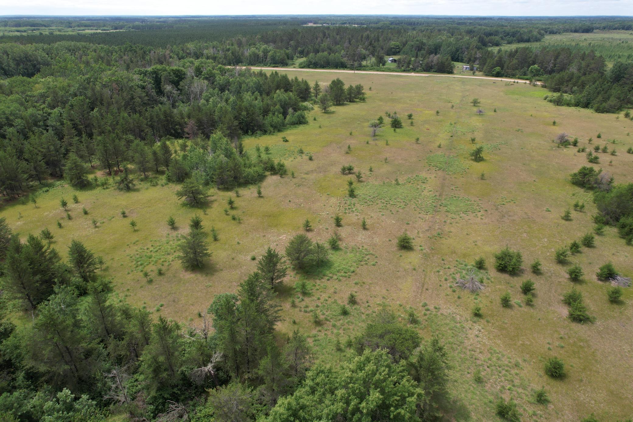 dji_fly_20260708_133738_962_1783535980017_photo.jpg