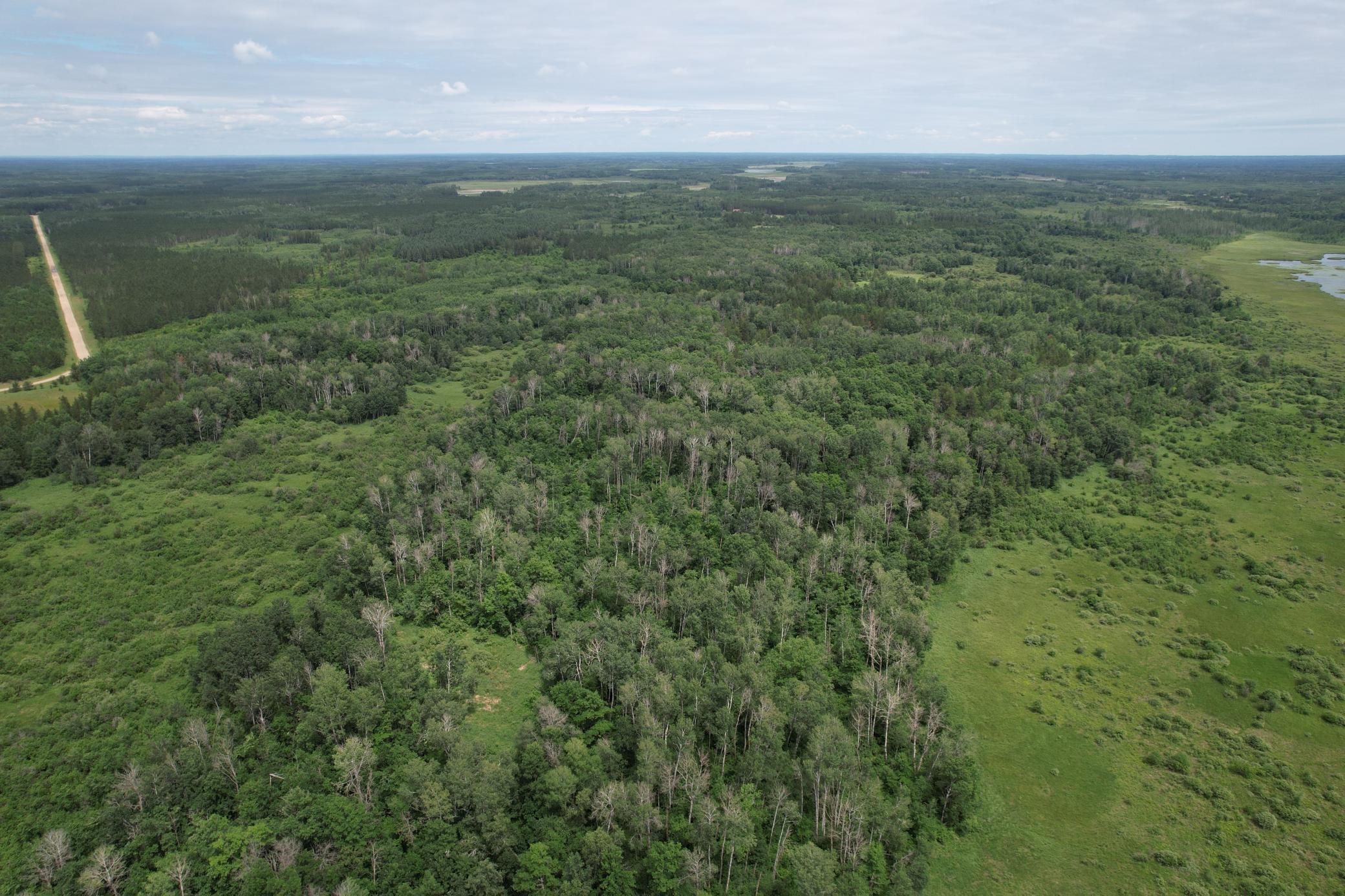 dji_fly_20260708_133302_942_1783536021212_photo.jpg