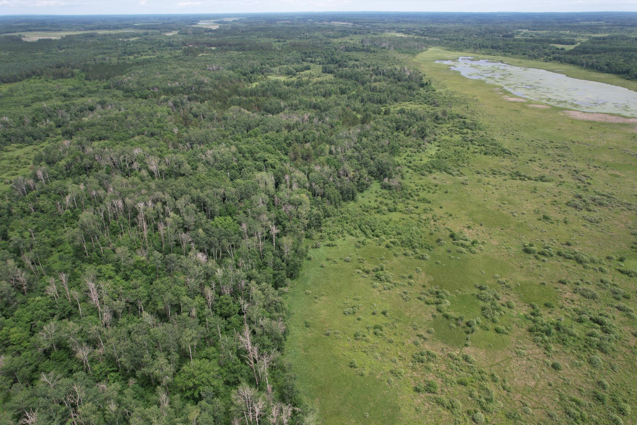 dji_fly_20260708_133316_944_1783536017805_photo.jpg