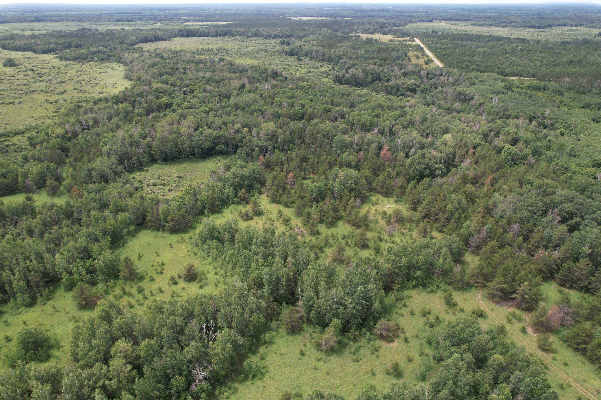 dji_fly_20260708_133606_954_1783535997688_photo.jpg