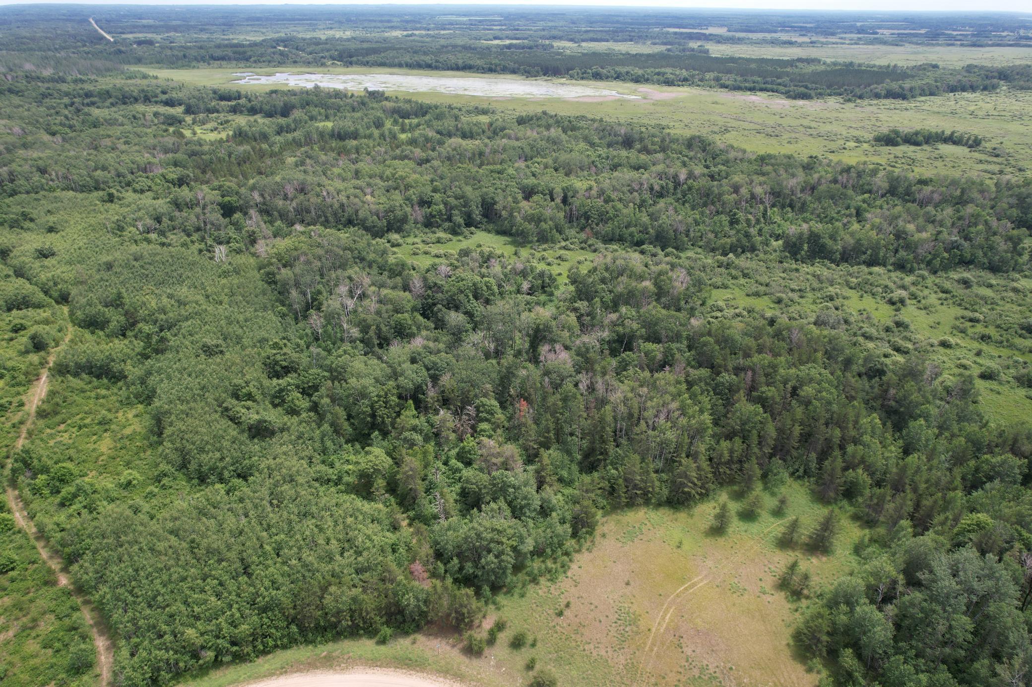 dji_fly_20260708_133158_941_1783536023183_photo.jpg