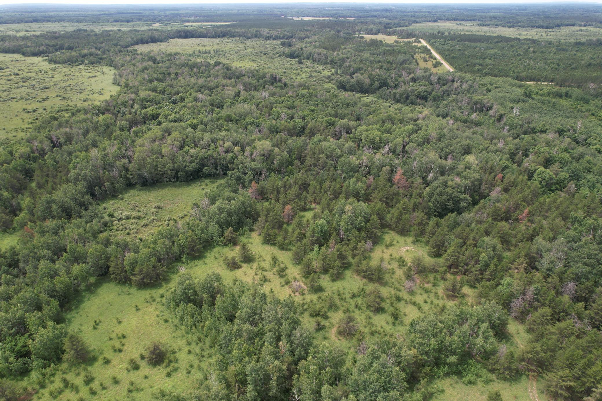 dji_fly_20260708_133602_953_1783535999772_photo.jpg