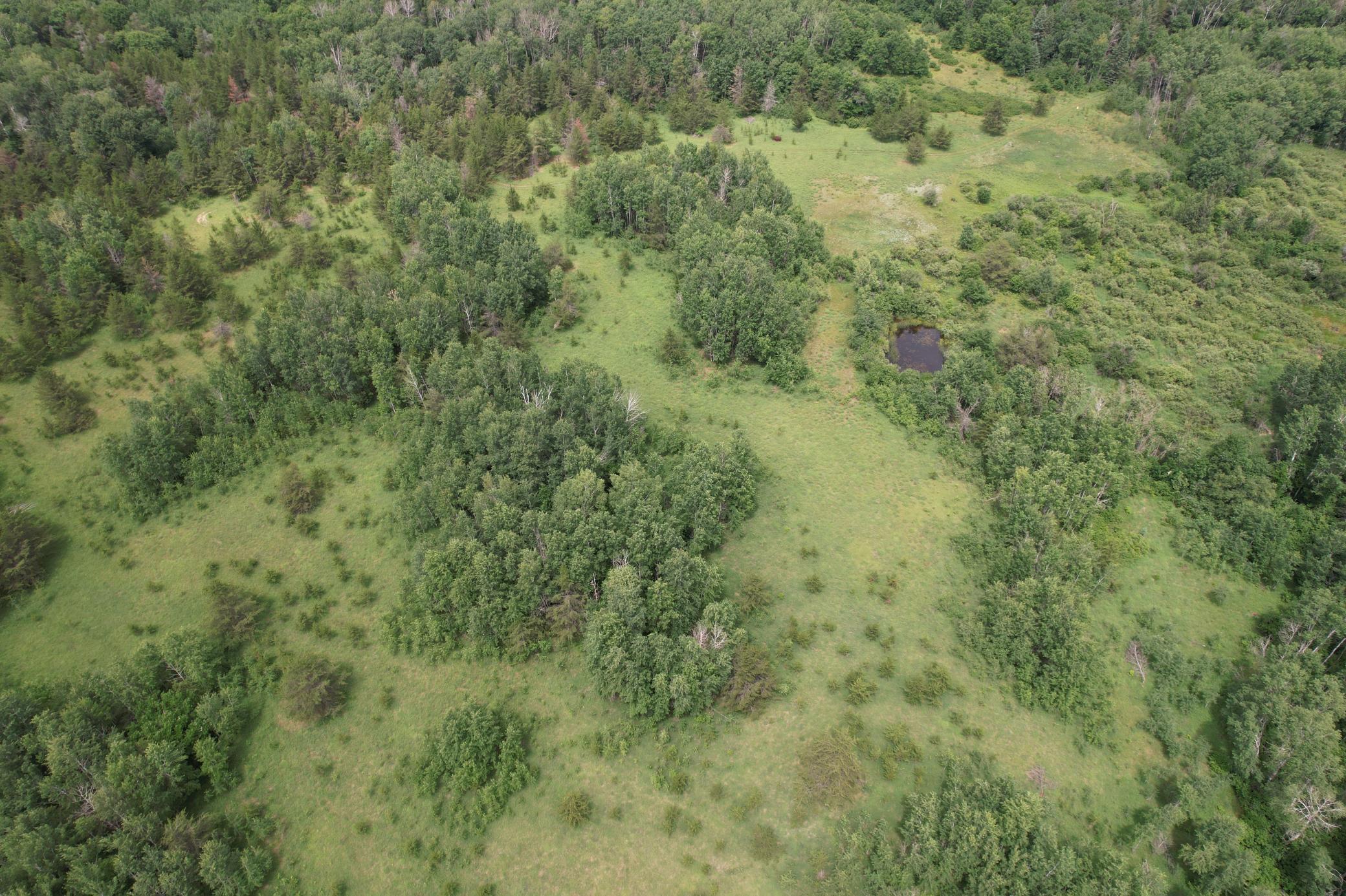 dji_fly_20260708_133542_952_1783536001742_photo.jpg