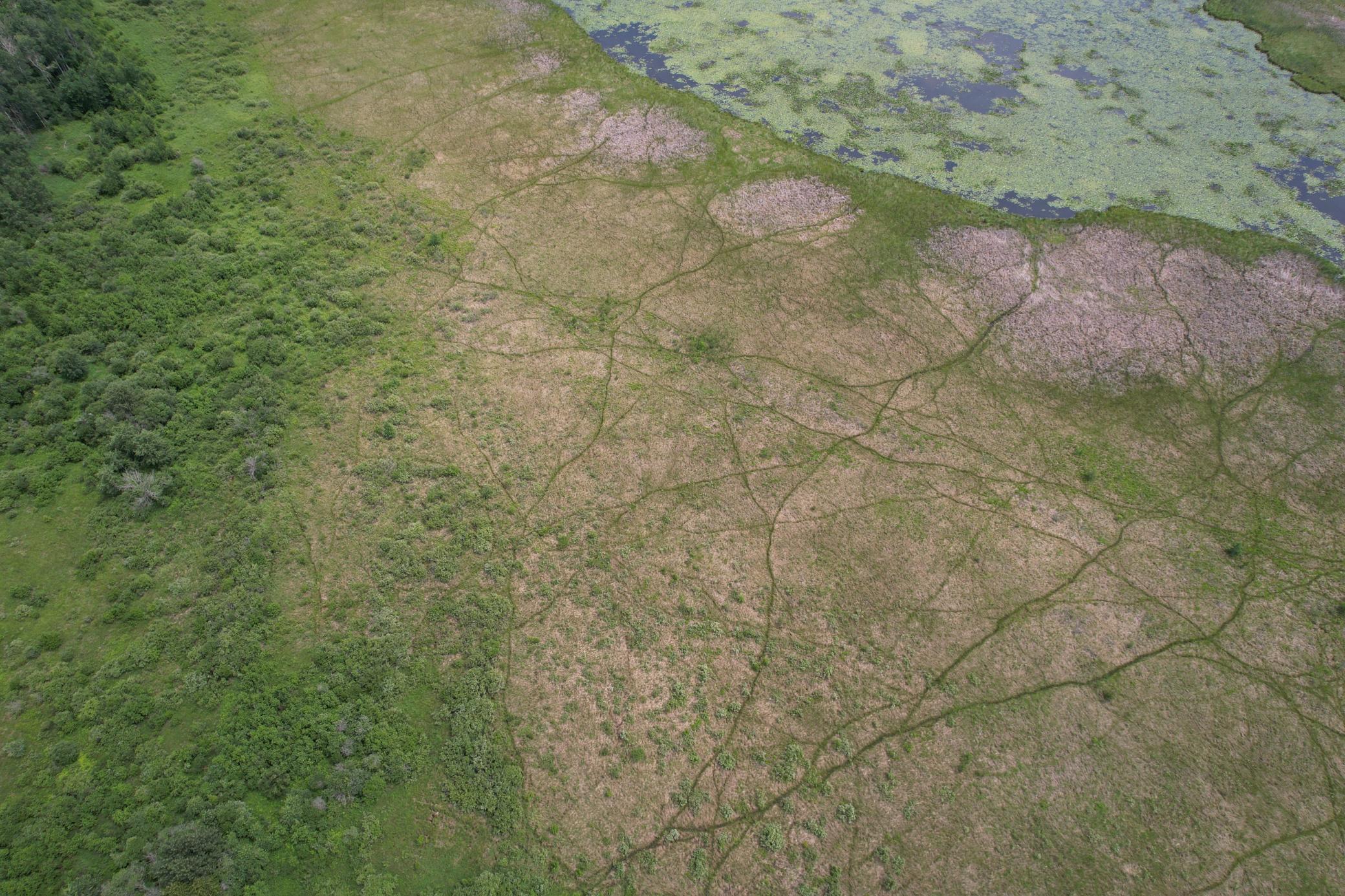 dji_fly_20260708_133430_950_1783536005729_photo.jpg