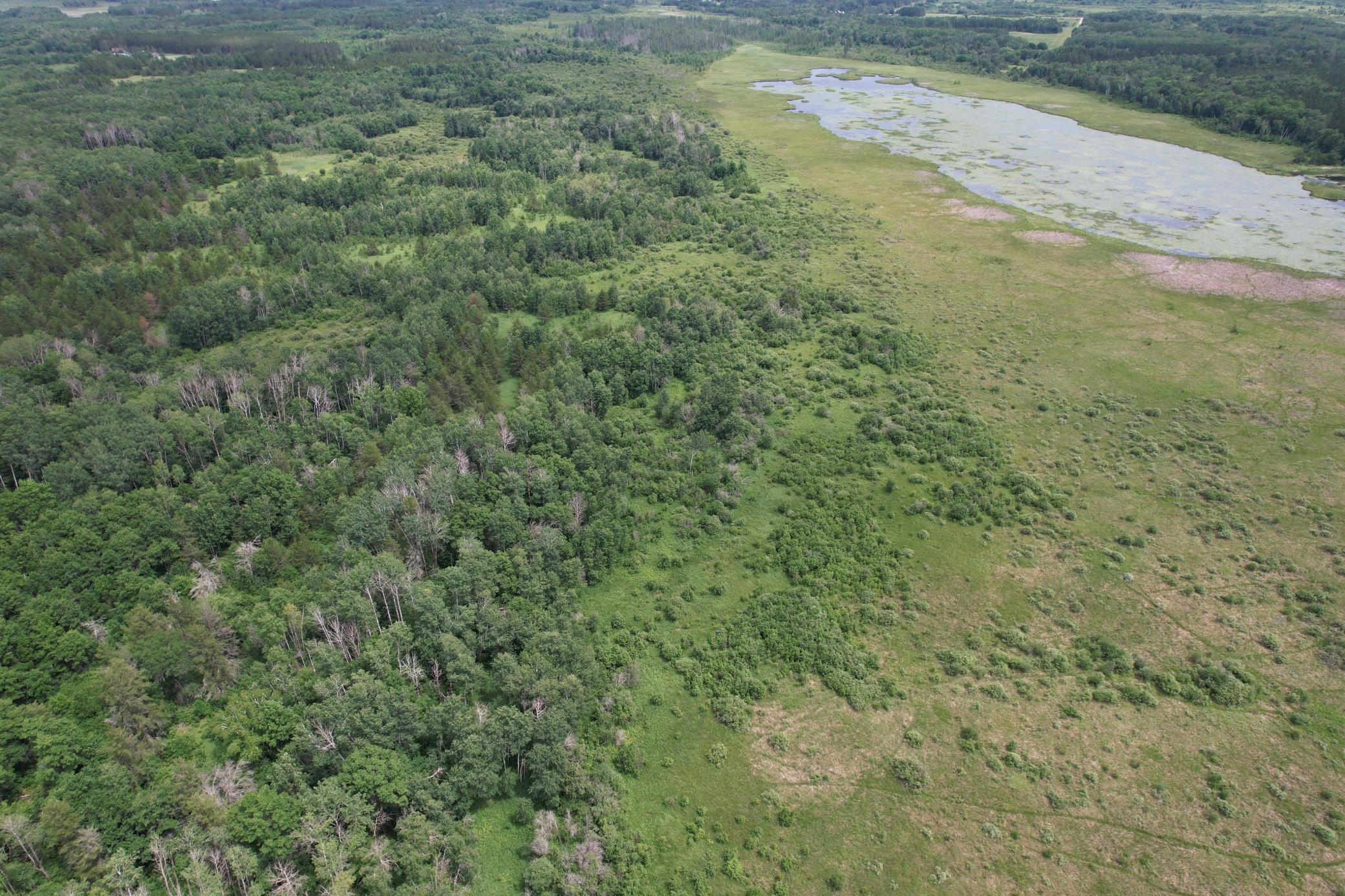 dji_fly_20260708_133334_947_1783536011760_photo.jpg