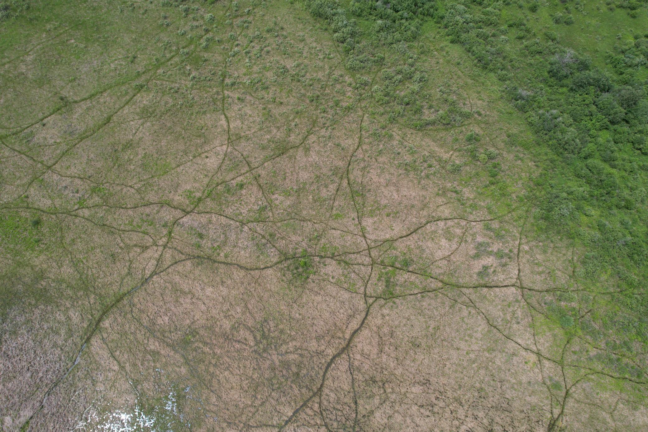 dji_fly_20260708_133502_951_1783536003746_photo.jpg