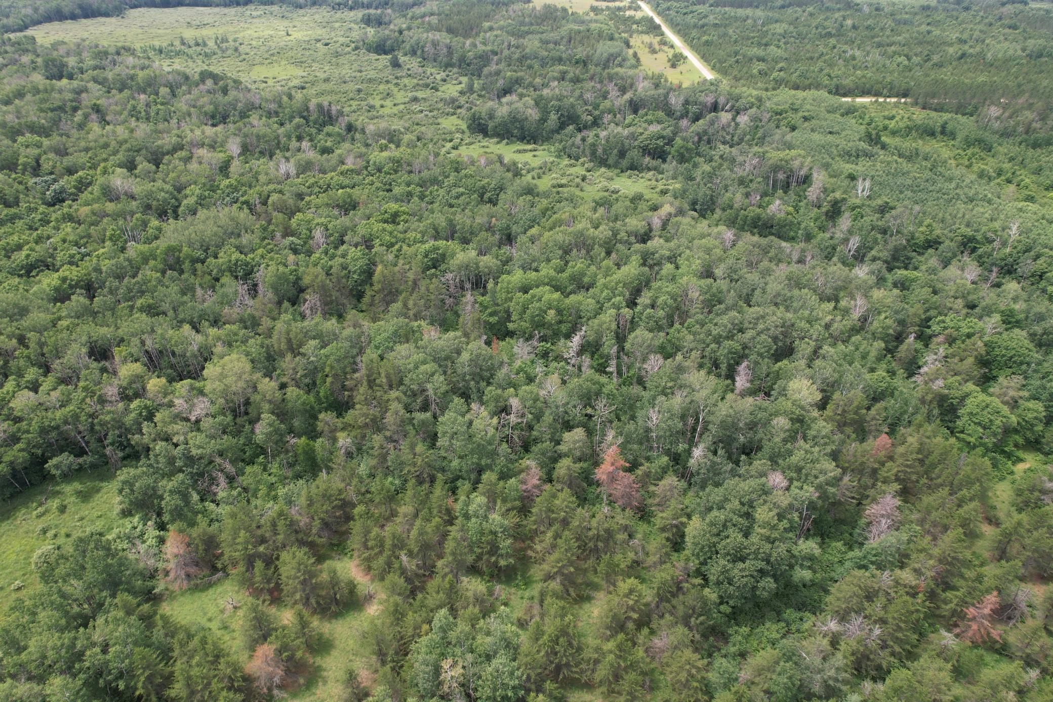 dji_fly_20260708_133632_957_1783535991171_photo.jpg