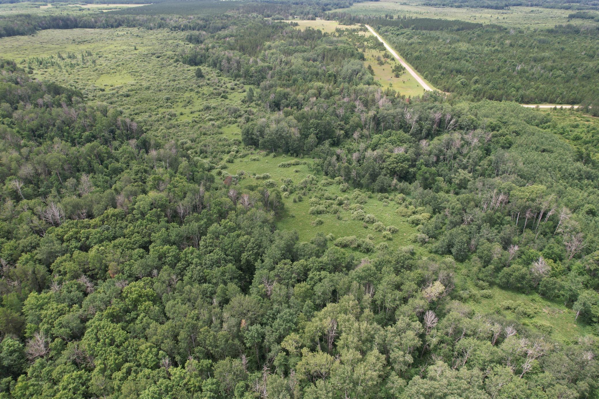 dji_fly_20260708_133642_958_1783535988530_photo.jpg