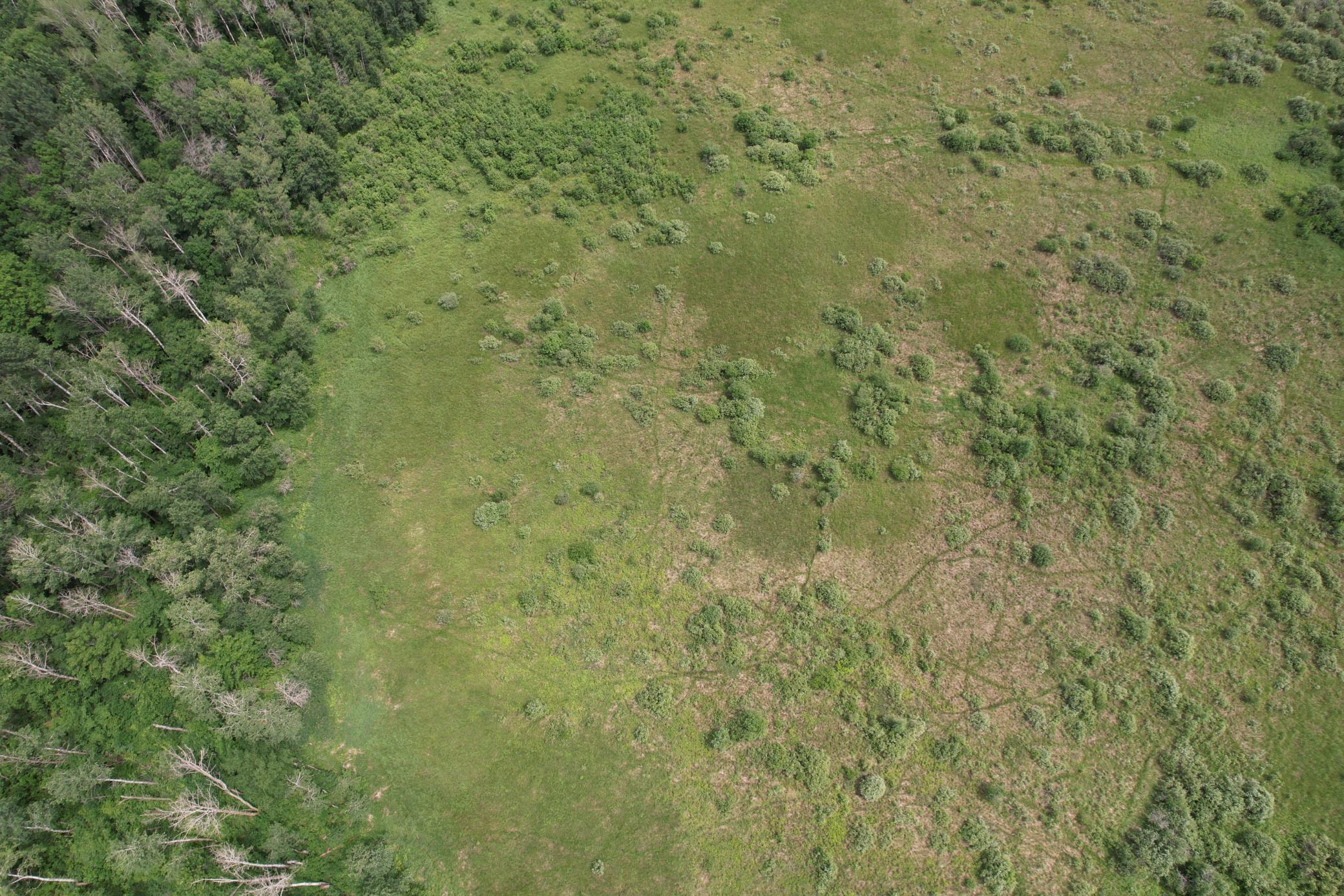 dji_fly_20260708_133322_945_1783536015909_photo.jpg