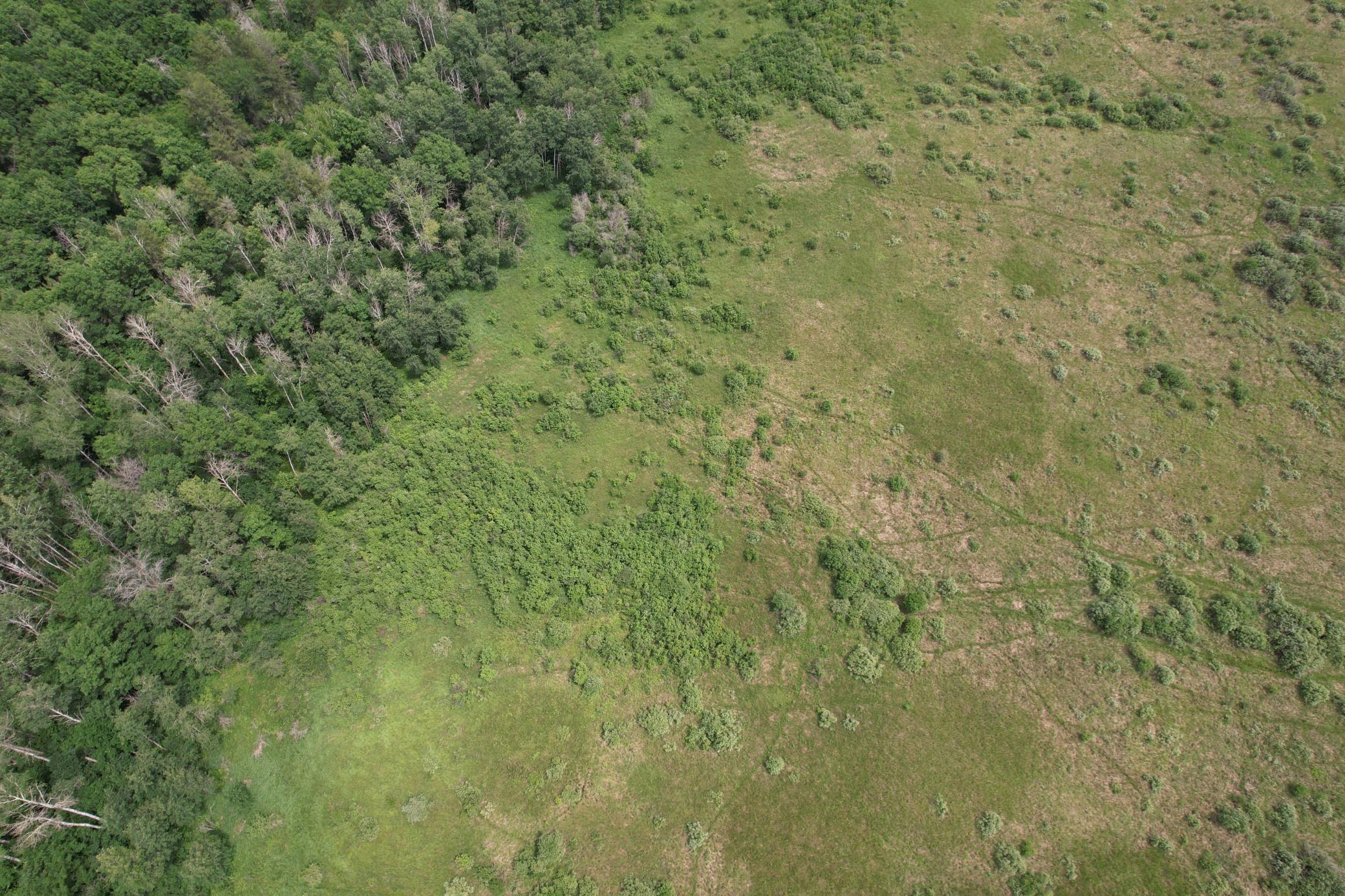 dji_fly_20260708_133330_946_1783536013846_photo.jpg