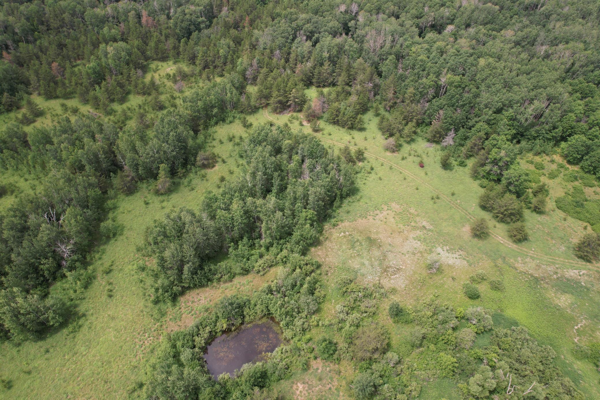 dji_fly_20260708_133616_955_1783535995654_photo.jpg