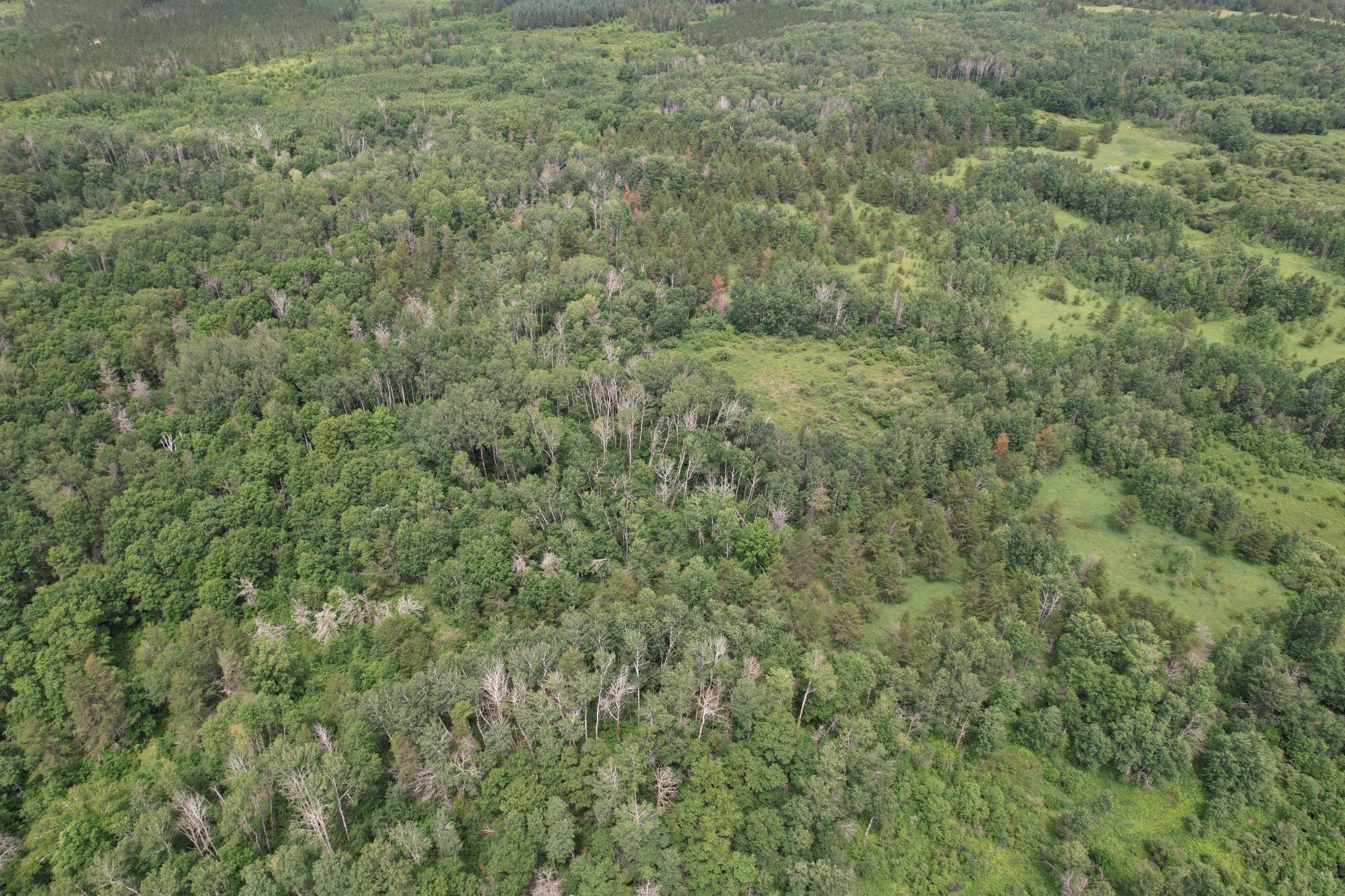 dji_fly_20260708_133410_949_1783536007868_photo.jpg