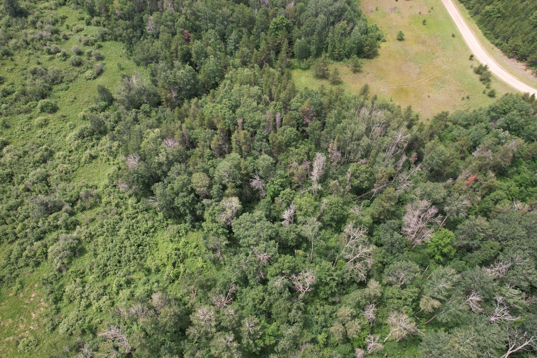 dji_fly_20260708_133700_959_1783535986159_photo.jpg