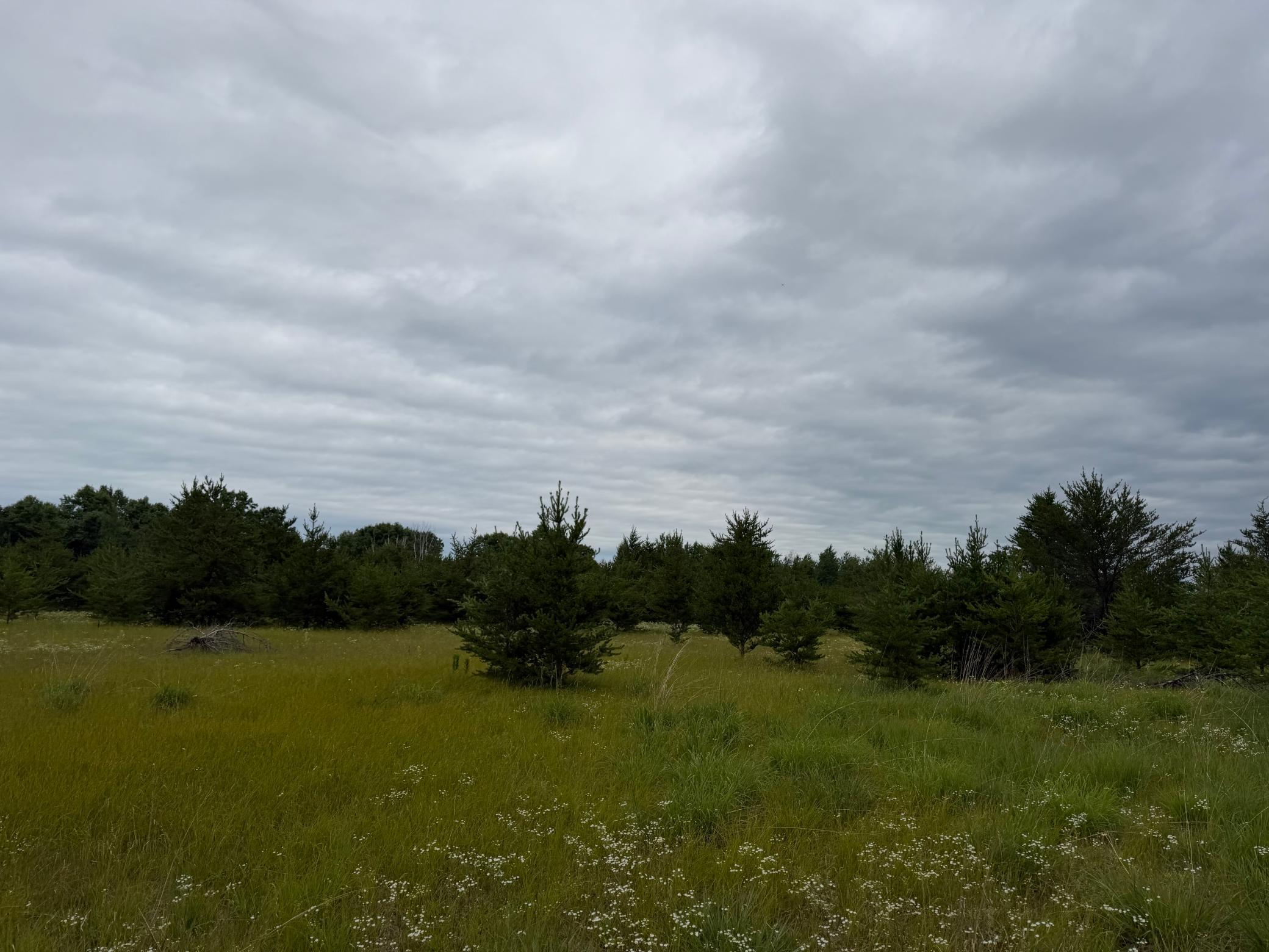 IMG_4802.jpeg