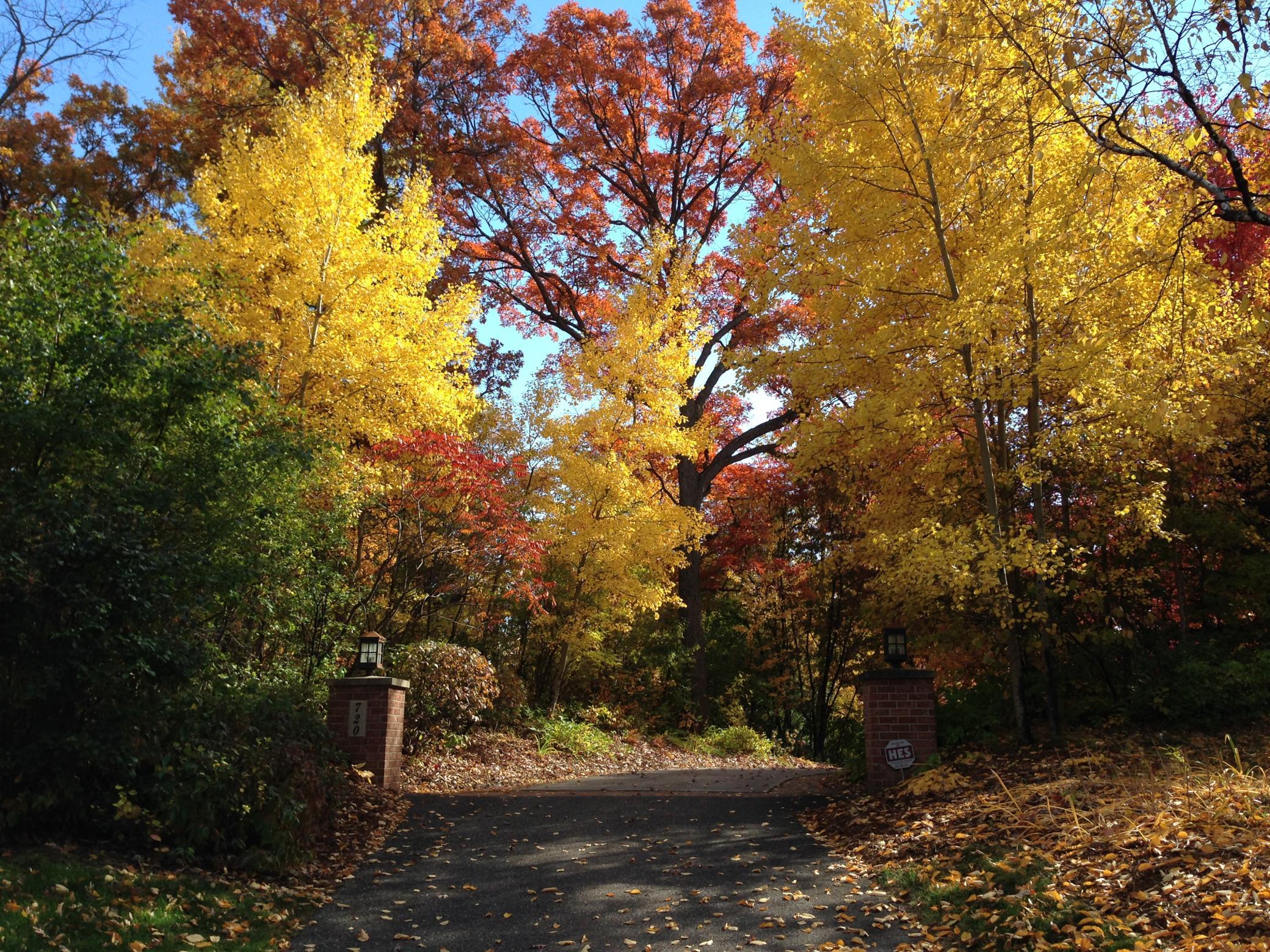 Property entrance in the fall.