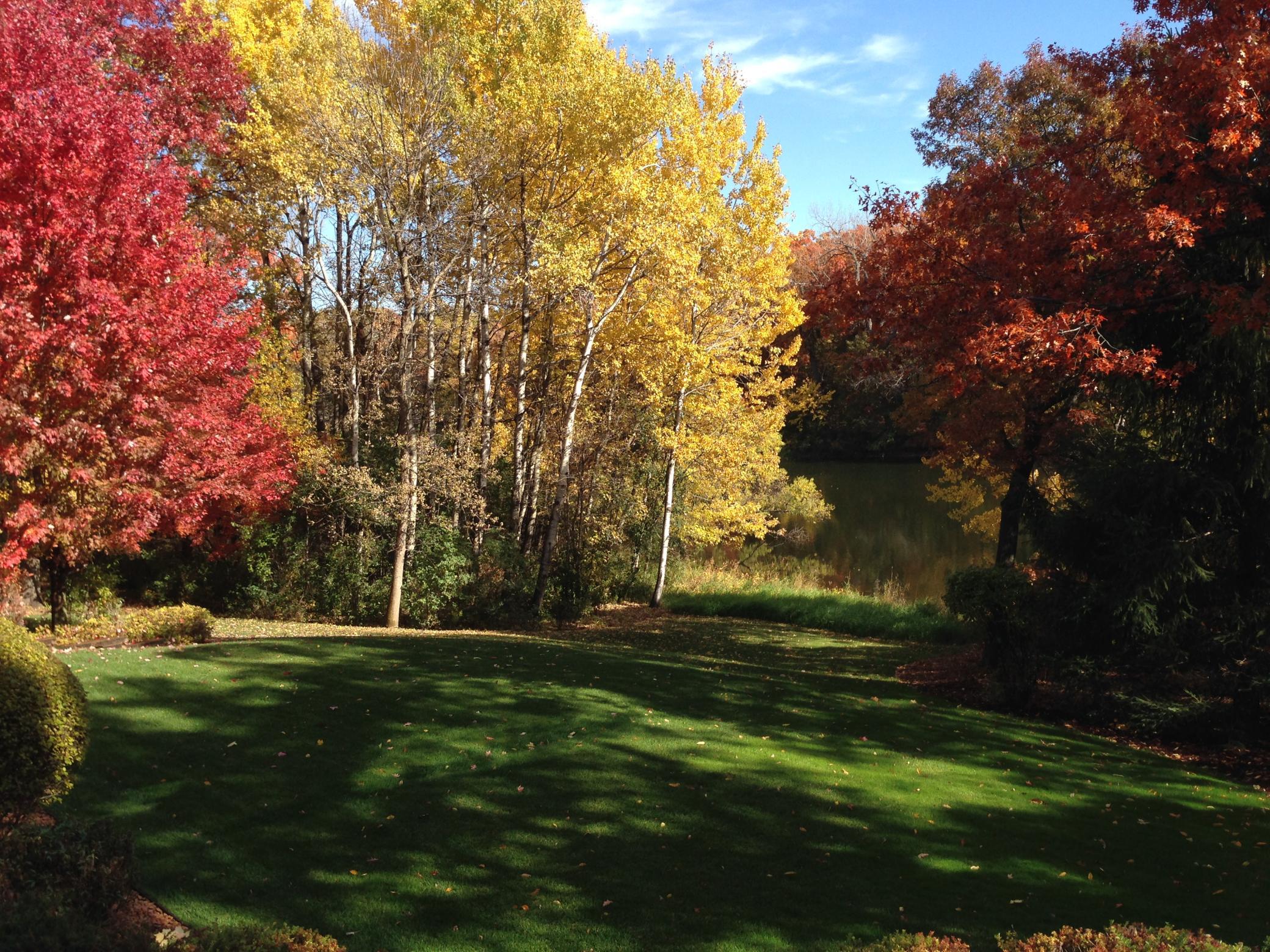 The fall colors will take your breathe away.