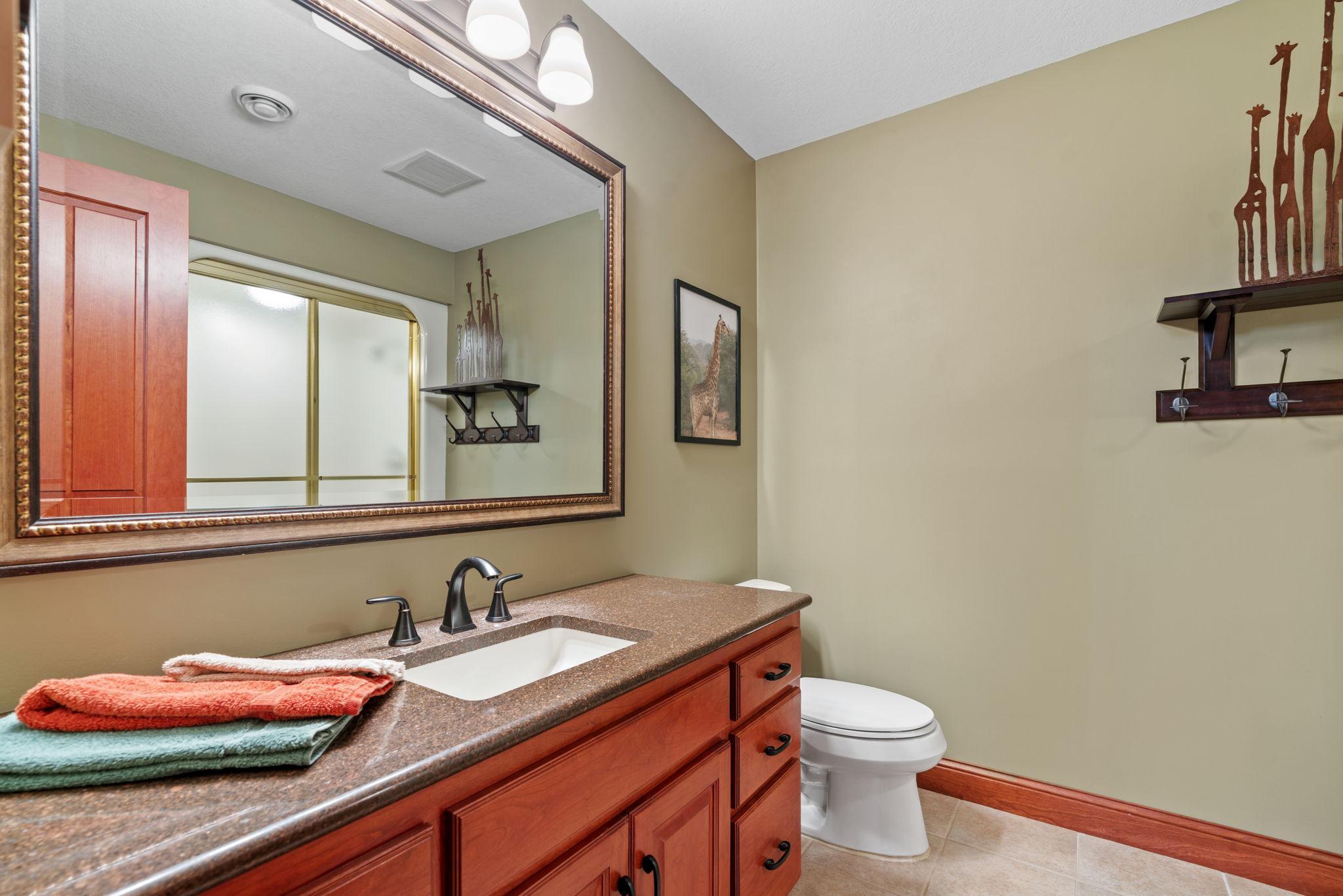 Lower level 3/4 bath.