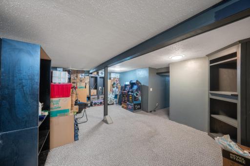 Enormous finished lower level family room!