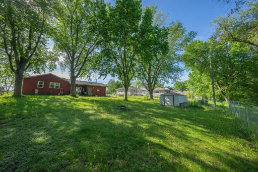 Huge treed fenced back yard with storage shed!