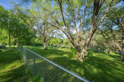 Chain link fenced treed back yard!