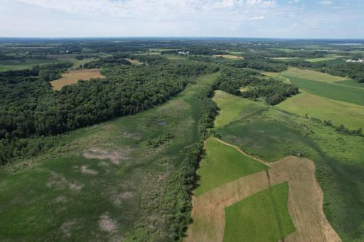 dji_fly_20260710_105636_974_1783699313797_photo.jpg
