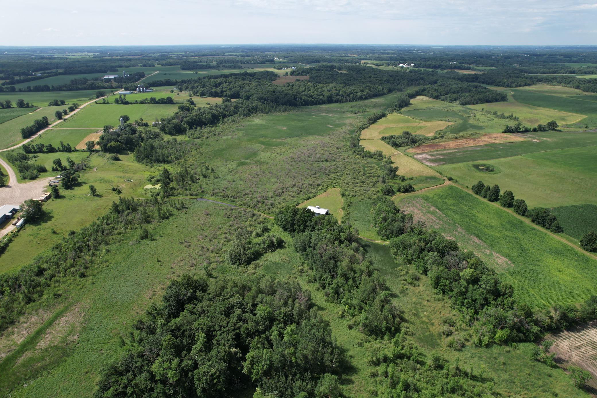 dji_fly_20260710_105454_968_1783699325292_photo.jpg