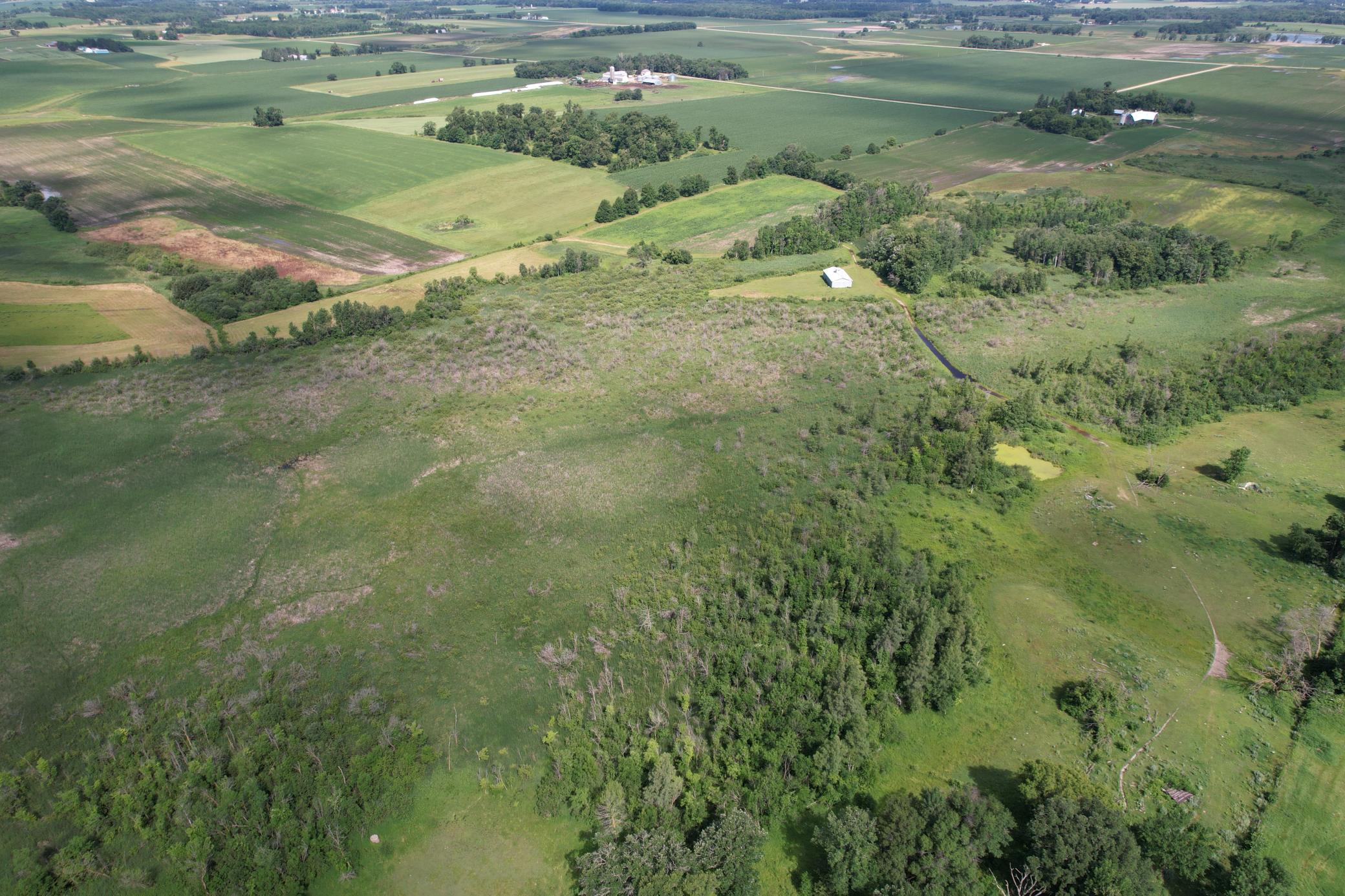 dji_fly_20260710_105334_964_1783699333111_photo.jpg