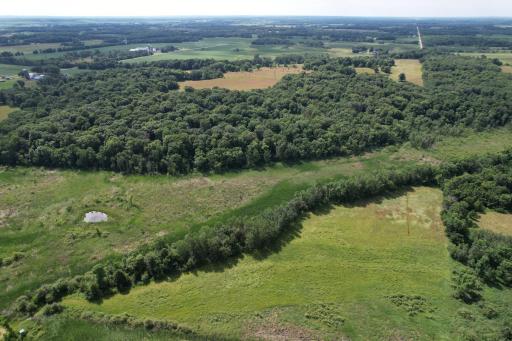 dji_fly_20260710_105724_977_1783699308218_photo.jpg