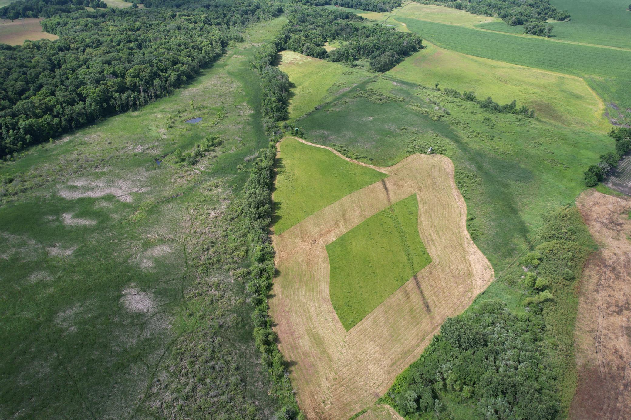 dji_fly_20260710_105626_973_1783699315741_photo.jpg
