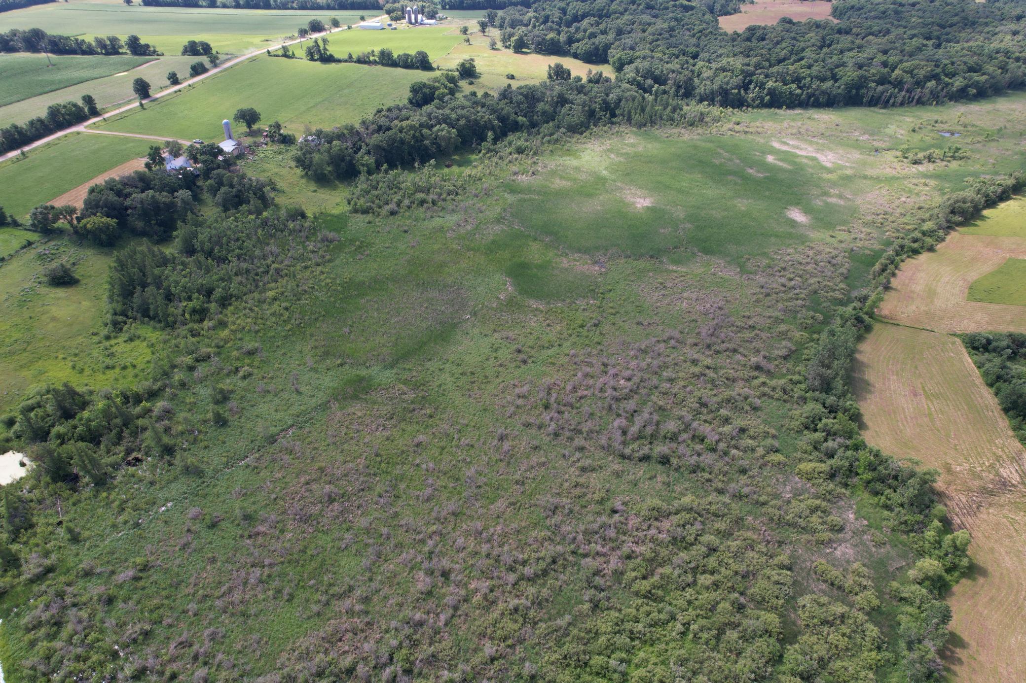 dji_fly_20260710_105608_972_1783699317696_photo.jpg