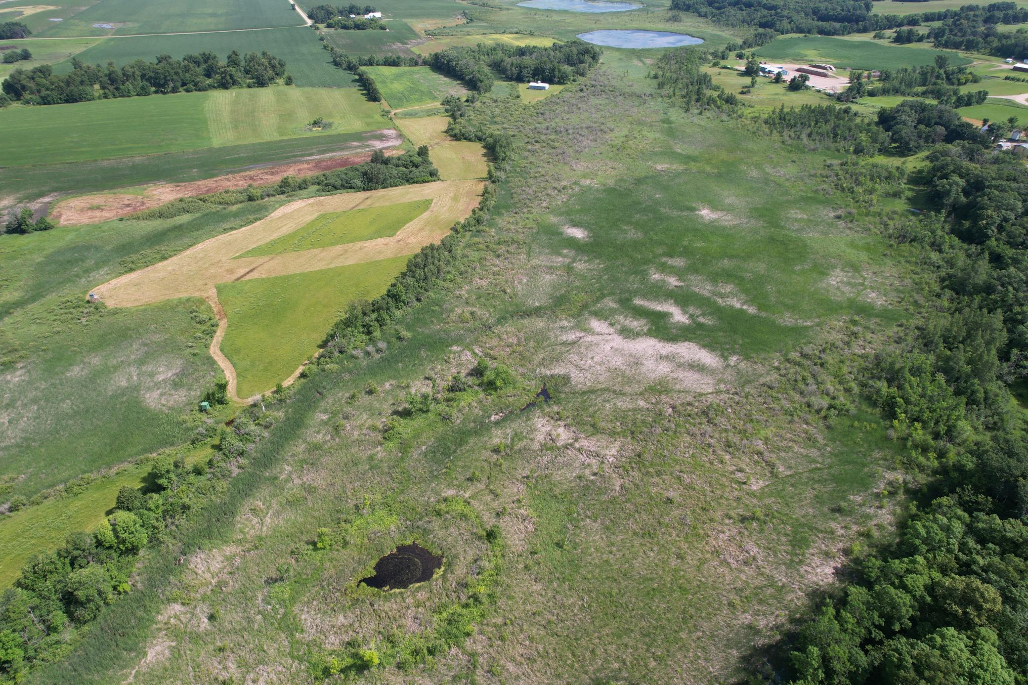 dji_fly_20260710_105924_985_1783699291174_photo.jpg