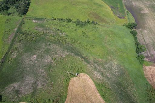 dji_fly_20260710_105700_976_1783699310288_photo.jpg