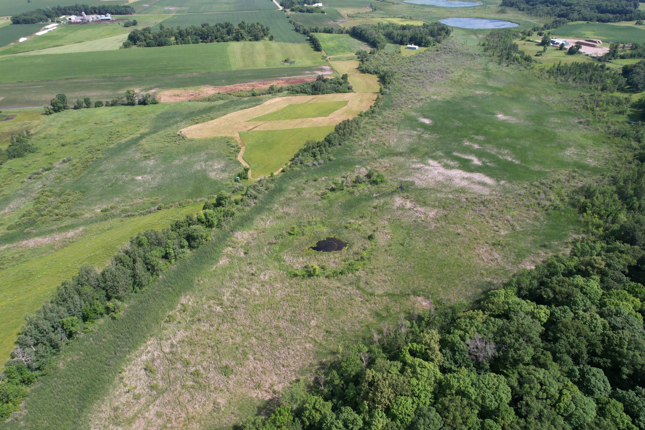dji_fly_20260710_105920_984_1783699293167_photo.jpg