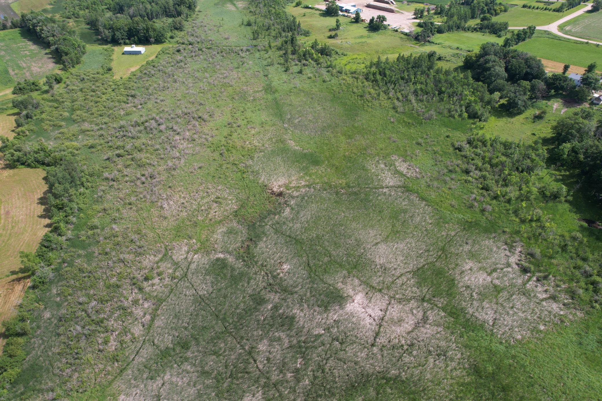 dji_fly_20260710_105944_988_1783699284723_photo.jpg