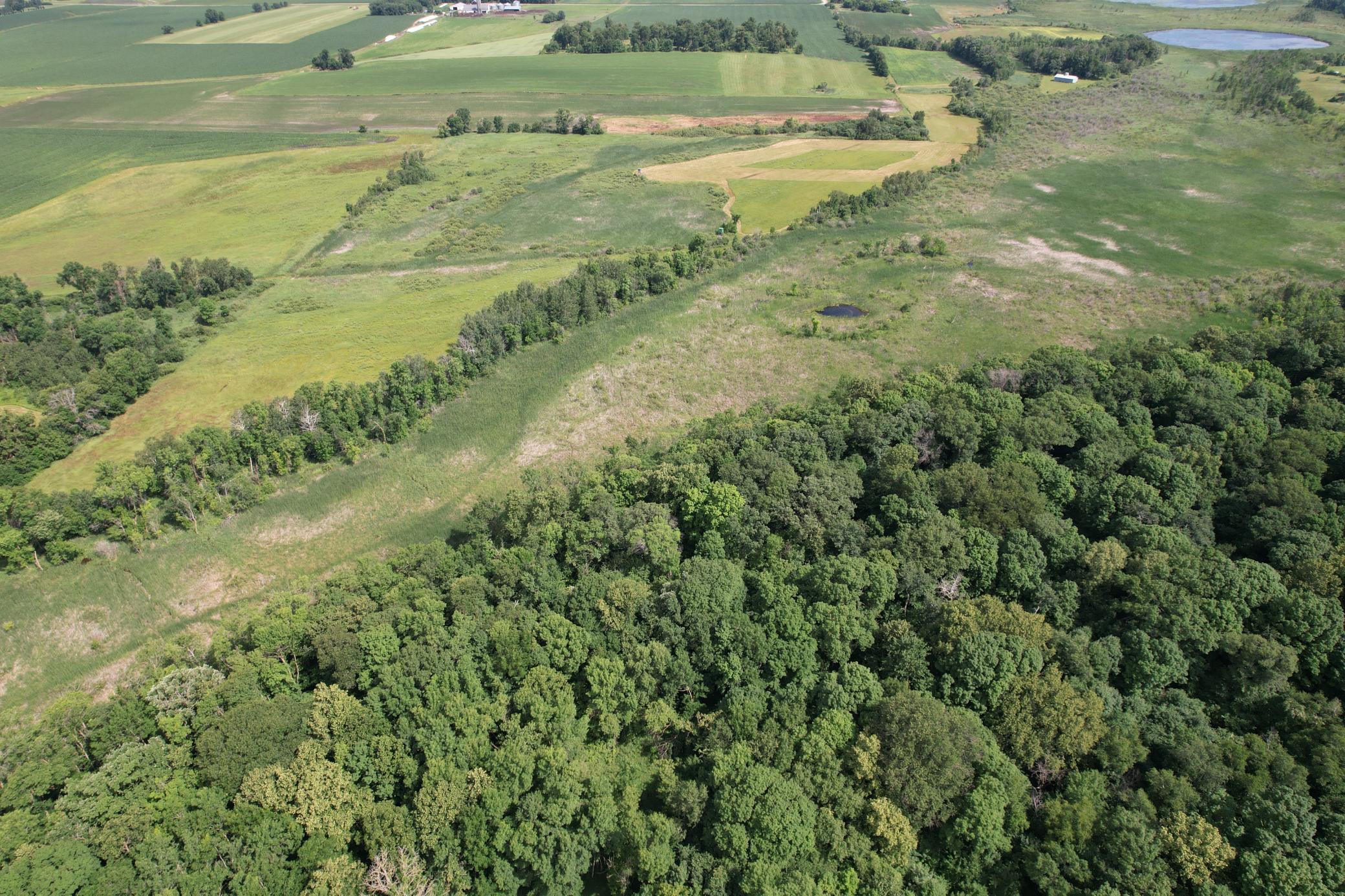 dji_fly_20260710_105912_983_1783699295271_photo.jpg