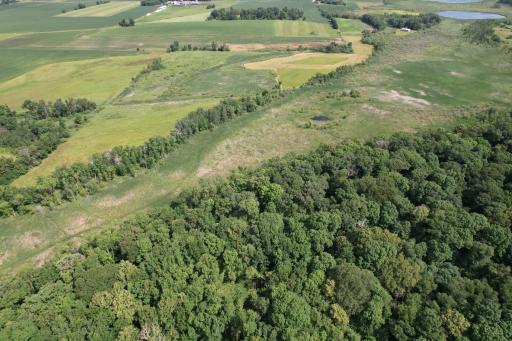 dji_fly_20260710_105912_983_1783699295271_photo.jpg