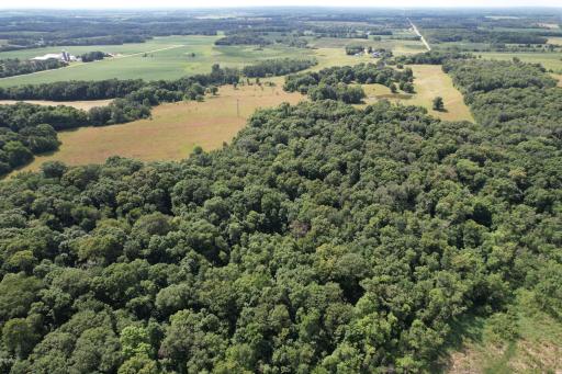 dji_fly_20260710_105818_981_1783699299635_photo.jpg