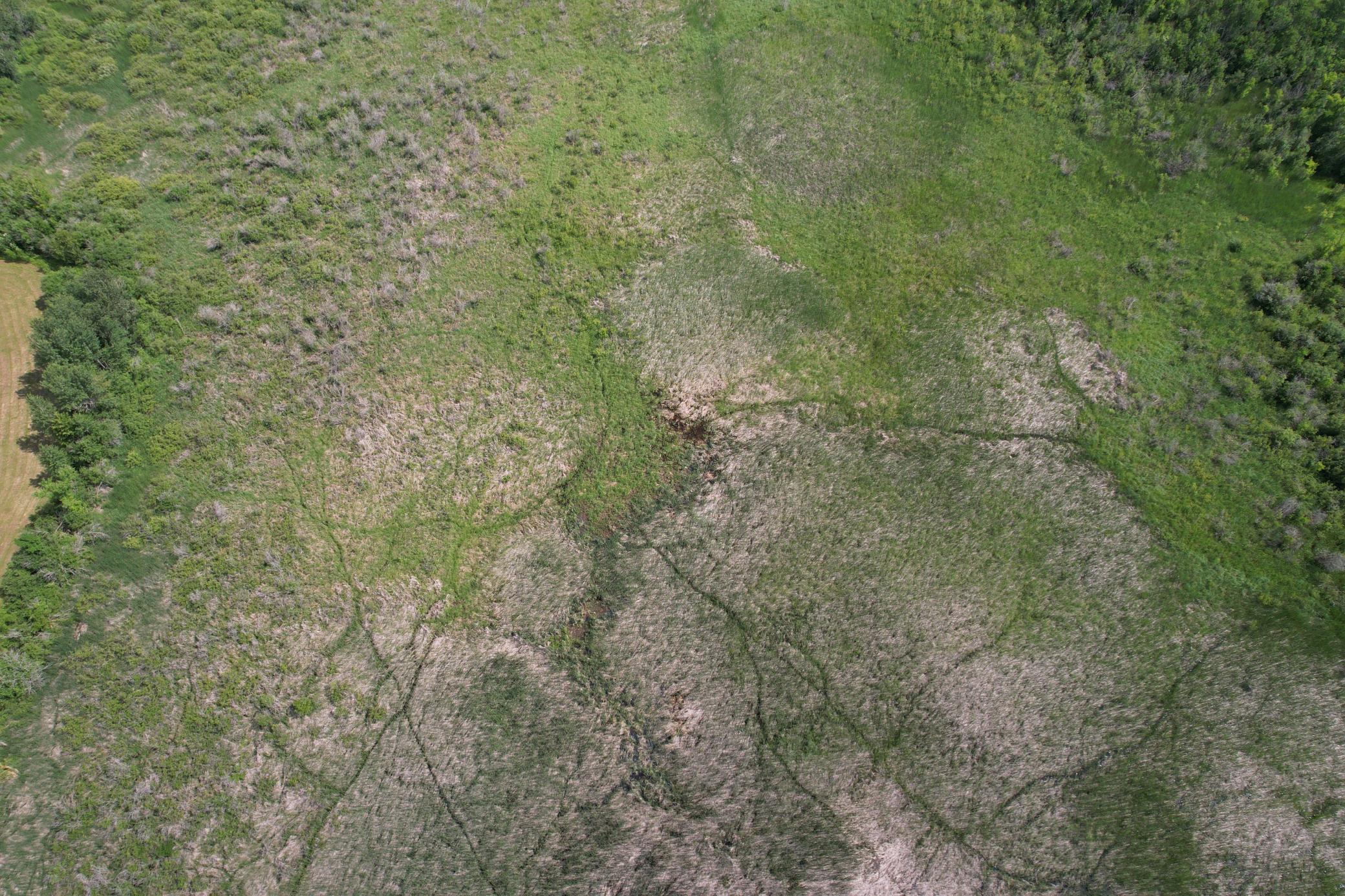 dji_fly_20260710_105950_989_1783699282630_photo.jpg