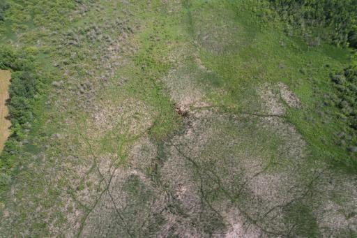 dji_fly_20260710_105950_989_1783699282630_photo.jpg