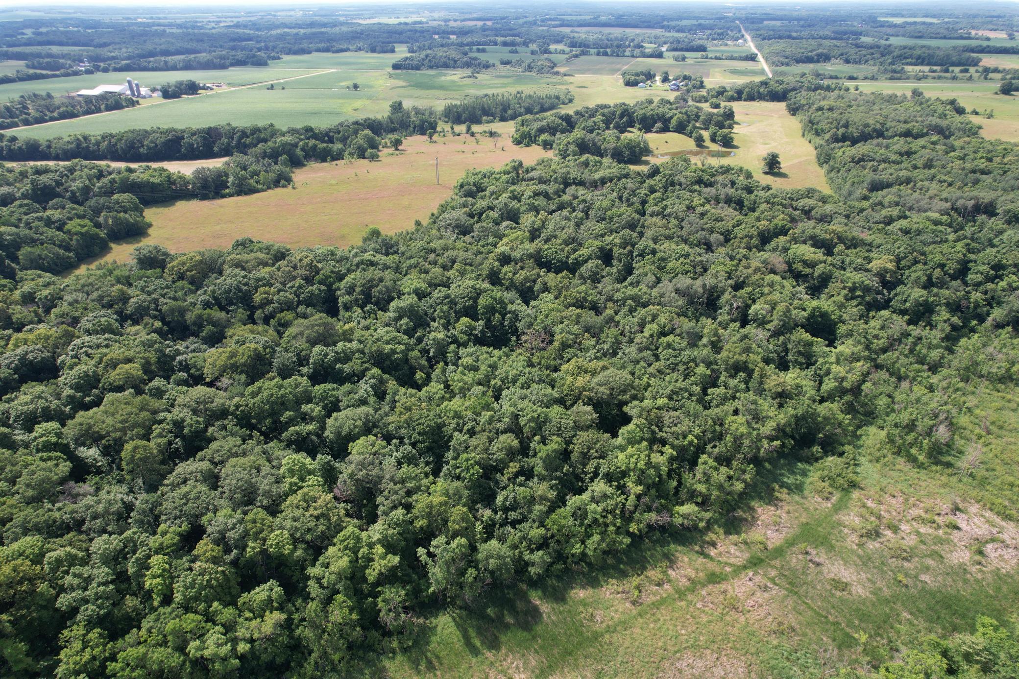dji_fly_20260710_105814_980_1783699301836_photo.jpg